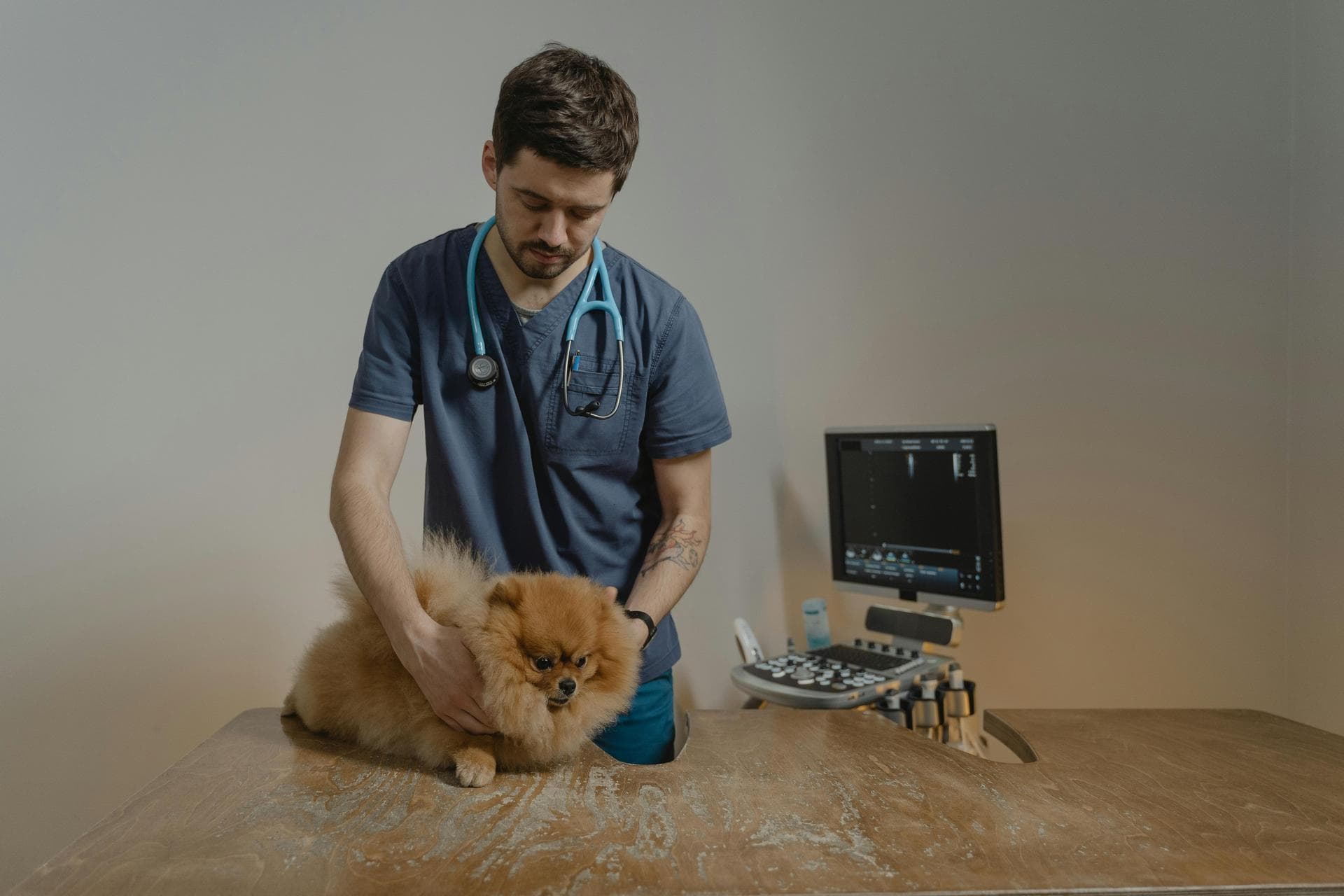 Vet Prices in Idaho